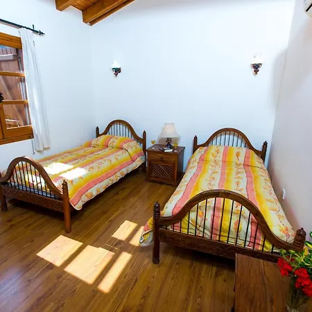 Clementina Villa *